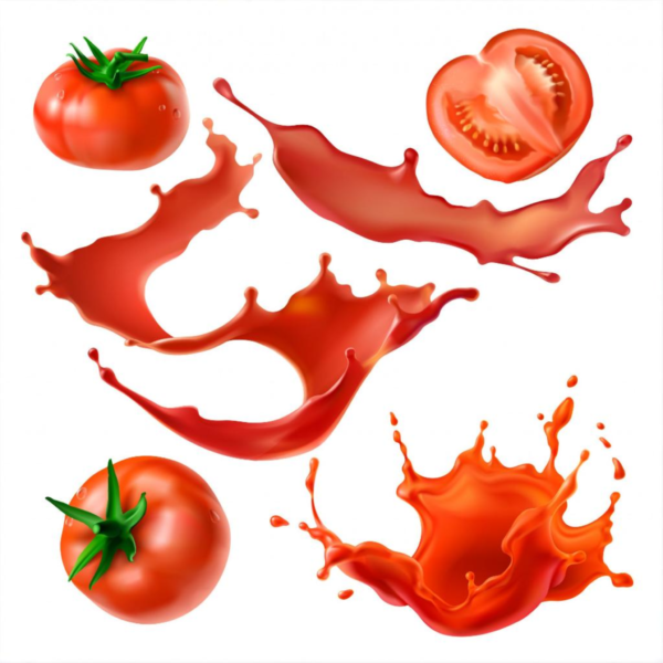 Tomato Premium टमाटर - Image 5