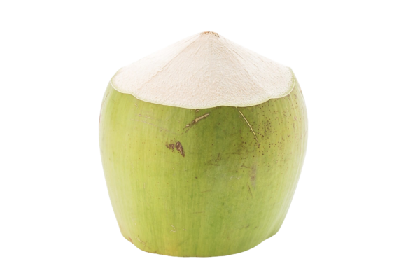Tender Coconut नारियल पानी - Image 2