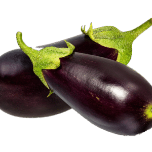 Brinjal large (बैंगन)